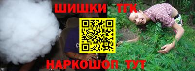 СК Владикавказ