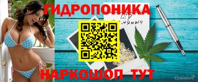 прущие грибы Владивосток