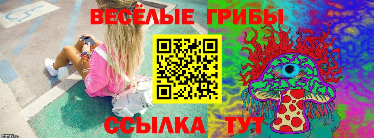 Псилоцибиновые грибы мицелий  где купить   Обнинск  Вход с VPN 