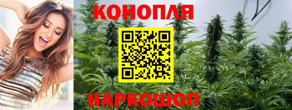 Каннабис семена Обнинск